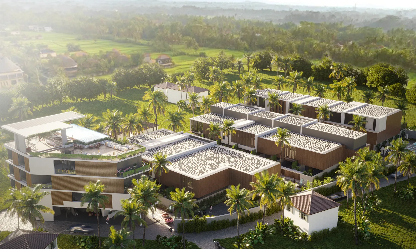 ALEX COMPLEX 8